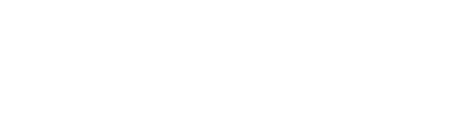 RVwise AI